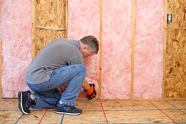 Best Eco-Friendly Insulation in Hyrum, UT